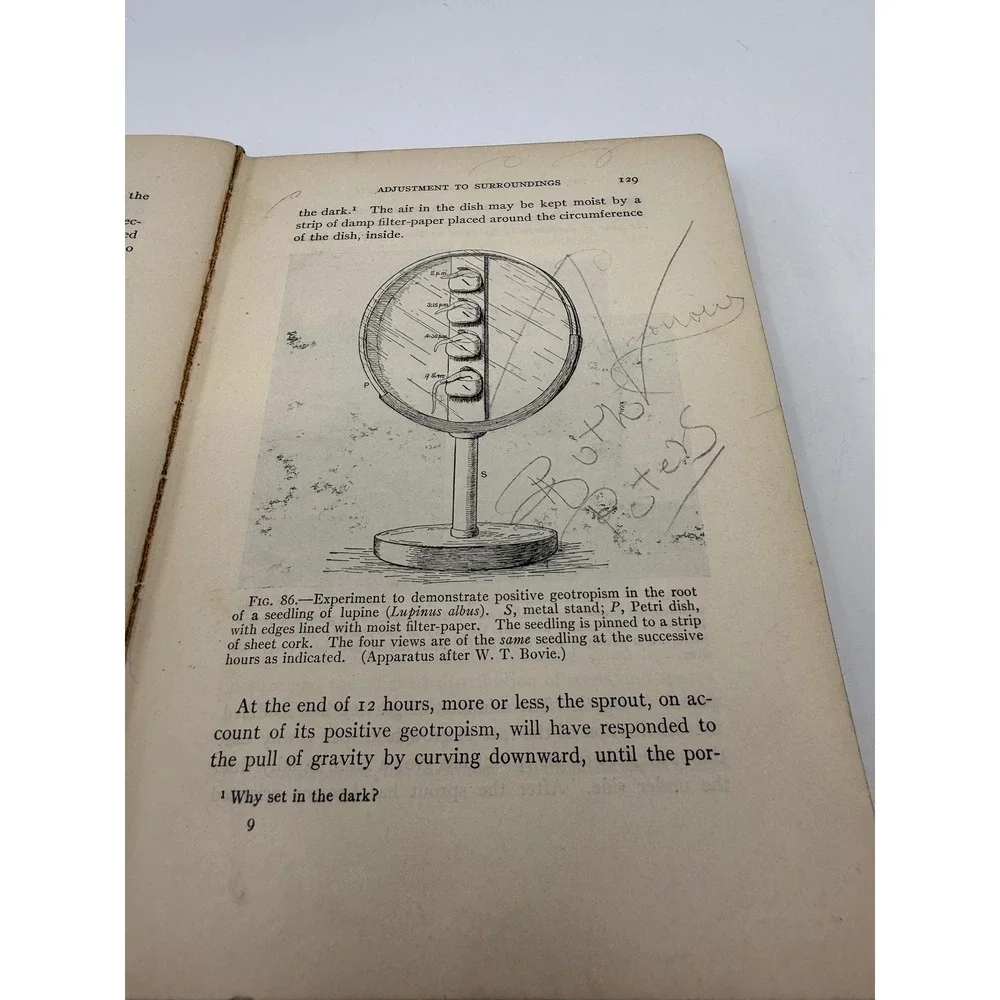 Fundamentals of Botany C Stuart Gager Antique Science Textbook 1917